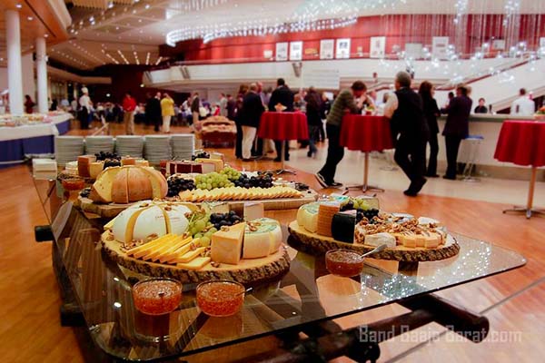 curated catering sector 72 noida