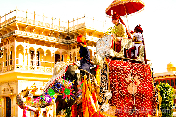 Mapsor Experiential Weddings in Sushilpura Jaipur 