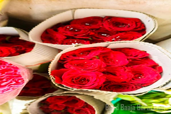 krishna florist sector 76 noida