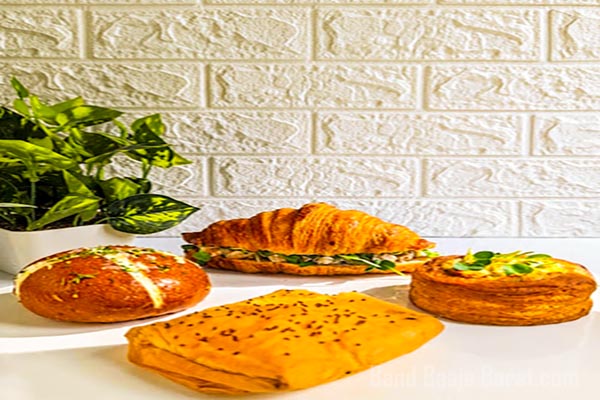 torte sector 21 noida
