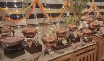 vibe catering safdarjung enclave delhi