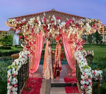 all about wedding sector 14 noida