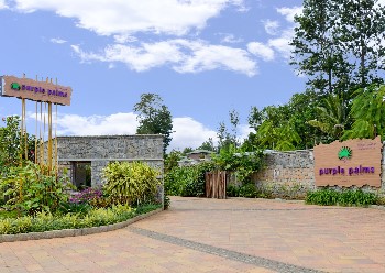 purple palms resort & spa kushalnagar coorg