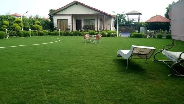 noida farmhouse sector 135 noida